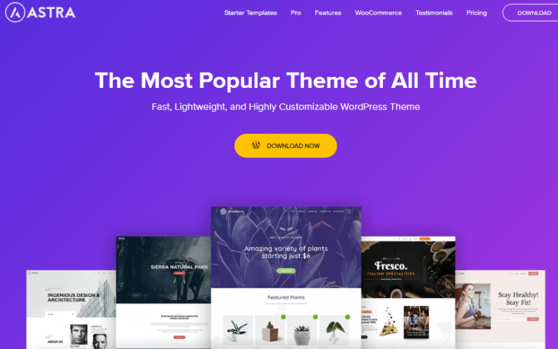 astra theme astra theme