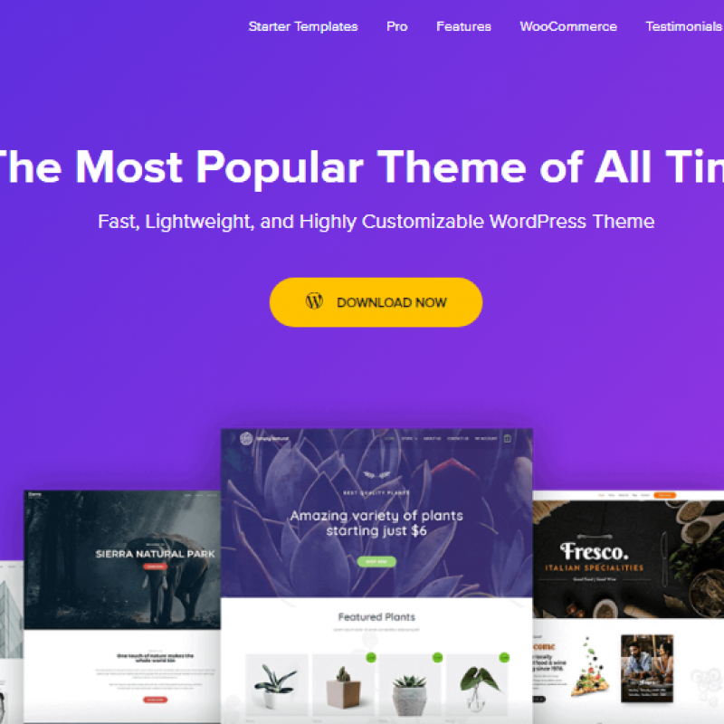 astra theme